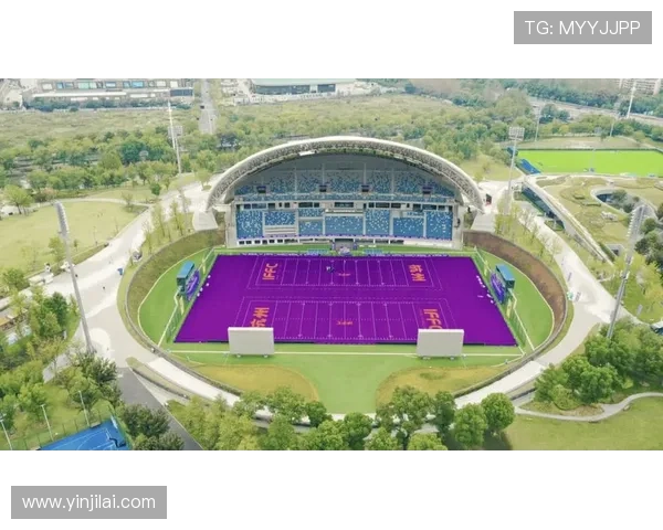 博冠体育：以专业团队打造高水平体育赛事，提升赛事品质与观众体验，赢得行业广泛认可